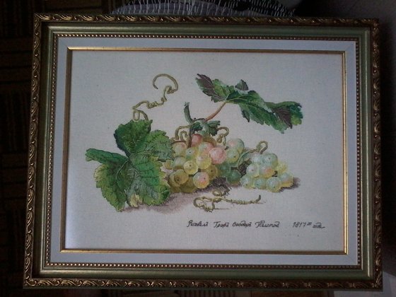 Работа «Виноград по схеме Екатерины Волковой»