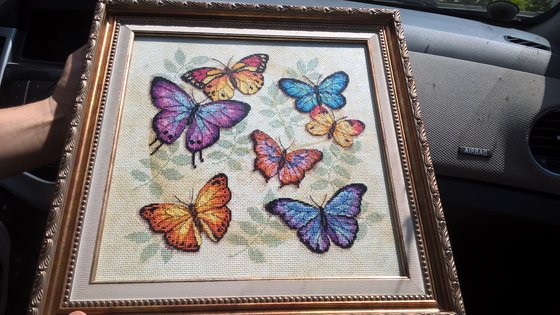 Работа «Обилие бабочек, Dimensions»