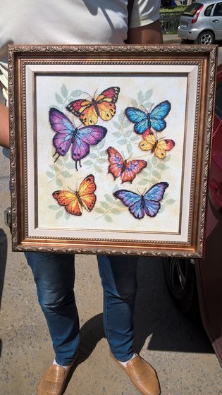 Работа «Изобилие бабочек»