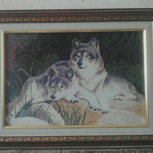 Работа «Пара волков в оформлении.»