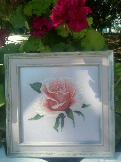 Работа «Розочка приоделась»