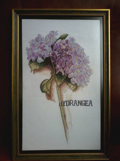 Работа «гортензия .ланарте.»