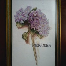 Работа «гортензия .ланарте.»