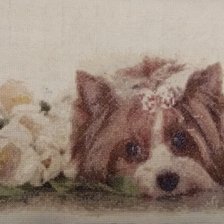 Работа «Лапочка»