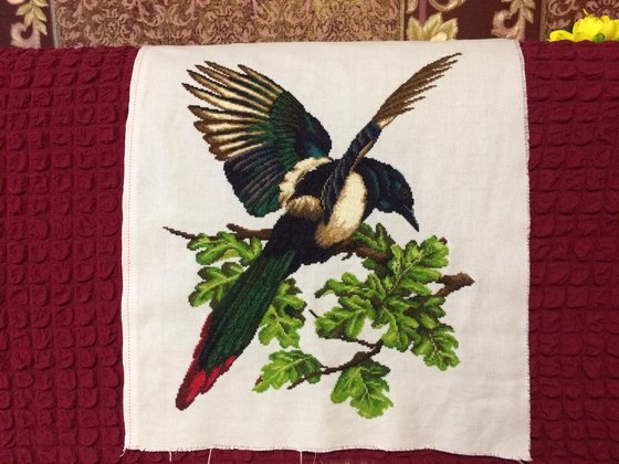 Работа «Длиннохвостая сорока»