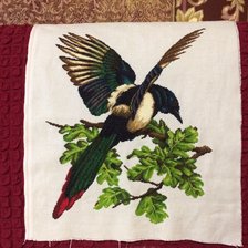 Работа «Длиннохвостая сорока»