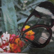 Работа «№72630»