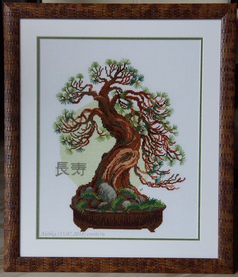 Работа «Бонсай - Пожелание долголетия»