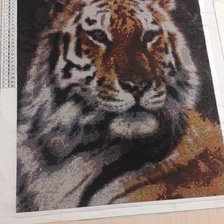 Работа «Алмазка 39×49»