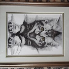 Работа «Доброе утро»