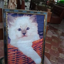 Работа «Котёнок в корзинке»