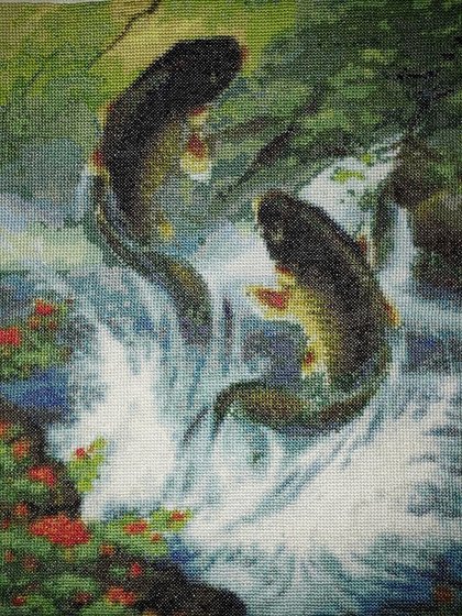 Работа ««Спорные» рыбки»