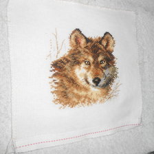 Работа «Волк»