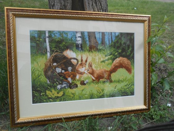 Работа «Белки»