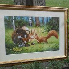 Работа «Белки»