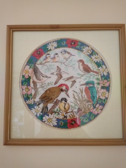 Работа «Птичье царство»