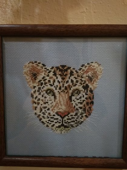 Работа «Гепард»