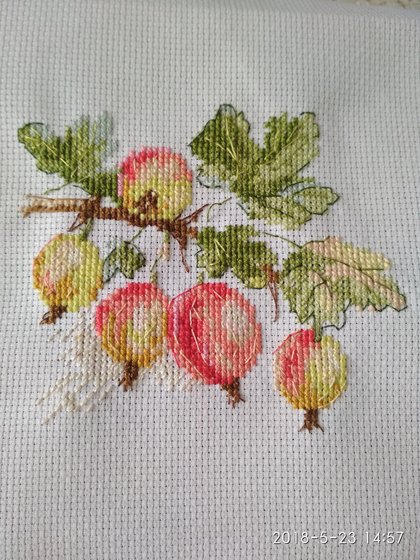 Работа «Крыжовник»