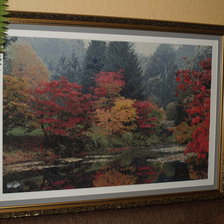 Работа «Осенние мотивы(теперь в рамке)»