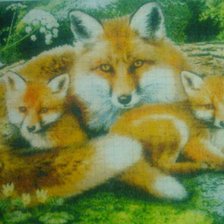 Работа «семейство лис»