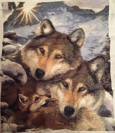 Работа «Семья волков»