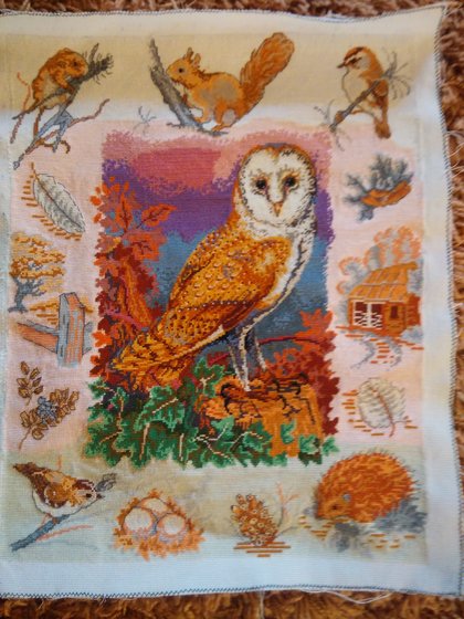 Работа «Сова»