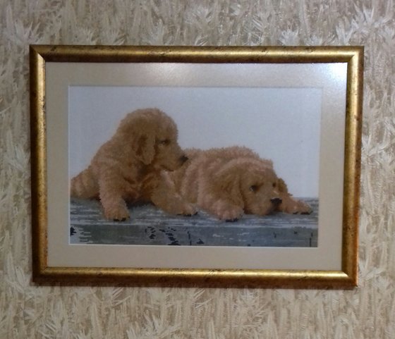 Работа «Щенки золотистого ретривера»