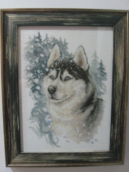 Работа «Великолепный хаски»