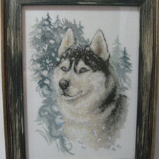 Работа «Великолепный хаски»