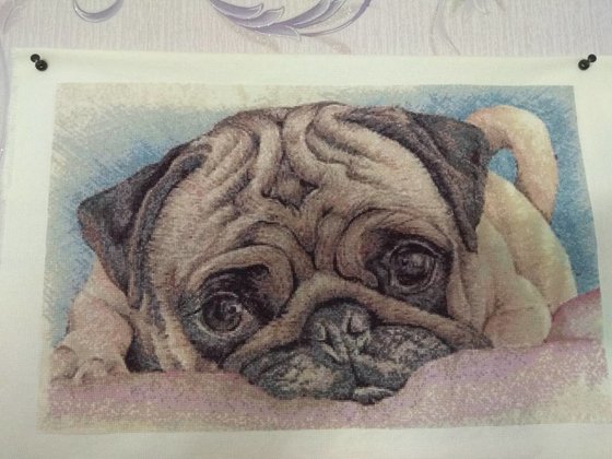 Работа «№73204»