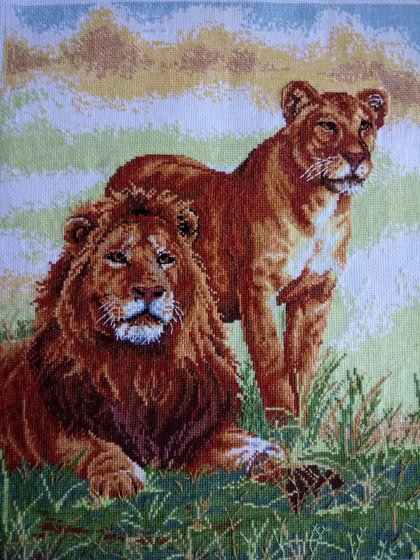 Работа «Leo»