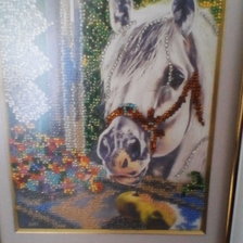 Работа «№73455»