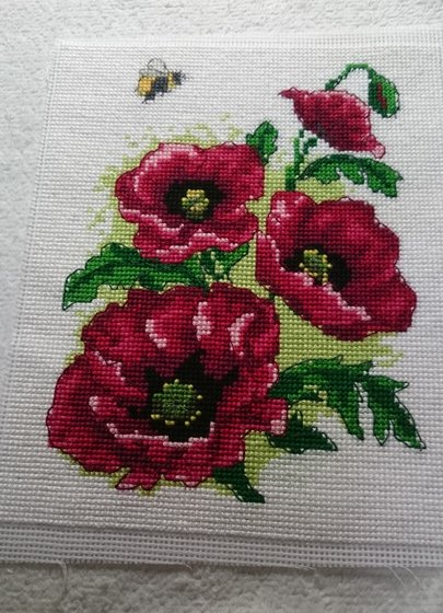 Работа «МАКИ  отдыхалочка»