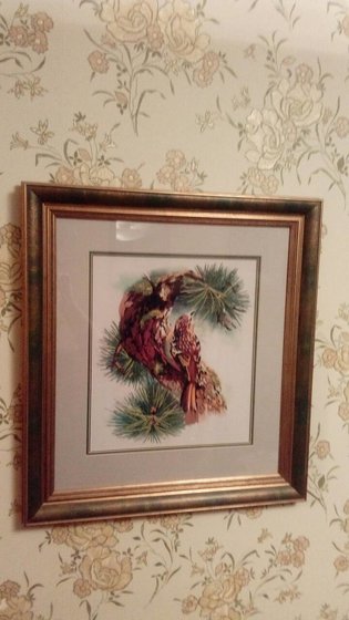 Работа «Птица_1»