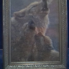 Работа «№73523»