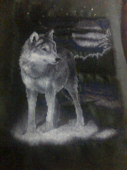 Работа «№73531»