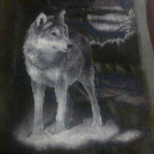 Работа «№73531»