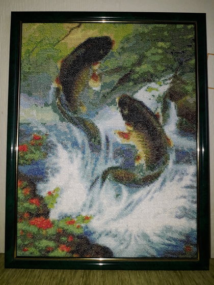 Работа ««Спорные» рыбки - уже в рамке»