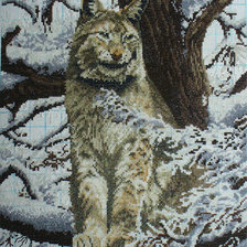 Работа «Рысь»