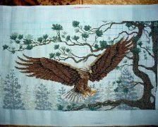 Работа «№73570»