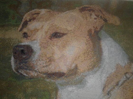 Работа «№73581»