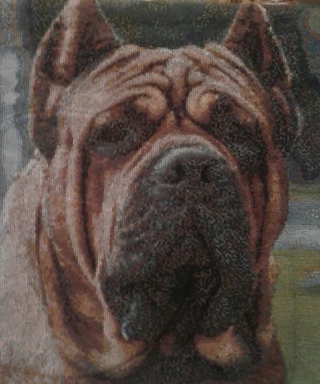 Работа «№73582»