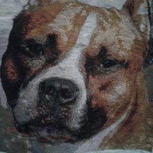 Работа «№73583»