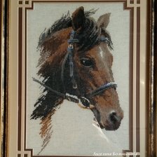 Работа «Конь»