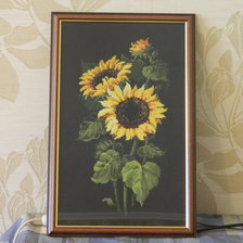 Работа «Подсолнухи на черном»