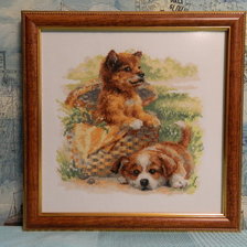 Работа «Щенки»