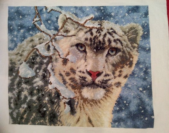 Работа «Снежный леопард, 36 х 30 см,32 цв.»