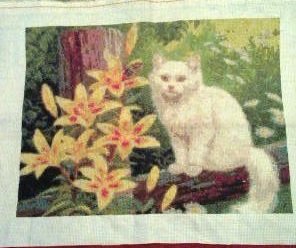 Работа «Киса»