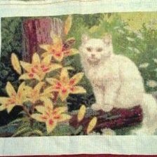 Работа «Киса»