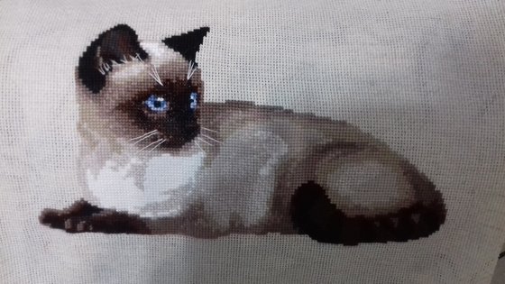 Работа «ТАЙСКИЙ КОТ ОТ РИОЛИС»